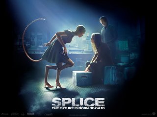Splice